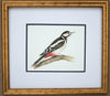Great Spotted Woodpecker - The Wallington Gallery