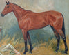 Racehorse Musidora - The Wallington Gallery