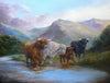 Highland Cattle in Glen Nevis - The Wallington Gallery