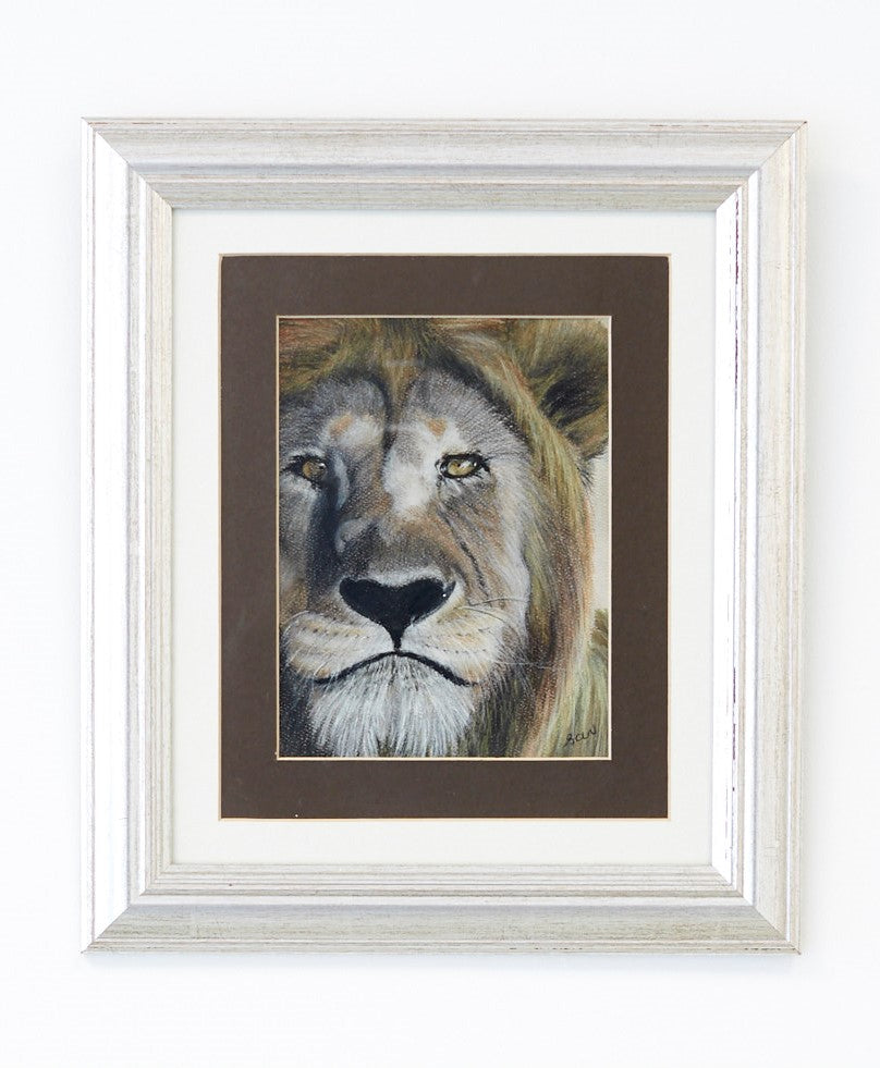 I'm watching you - The Wallington Gallery