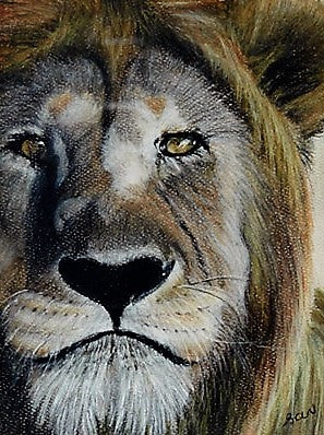 I'm watching you - The Wallington Gallery