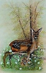 In the Meadow - The Wallington Gallery