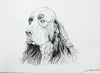 Springer Spaniel - The Wallington Gallery