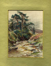 Burnhope Burn in flood, Wearhead - The Wallington Gallery