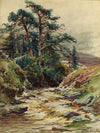 Burnhope Burn in flood, Wearhead - The Wallington Gallery