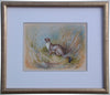 Stoat - The Wallington Gallery